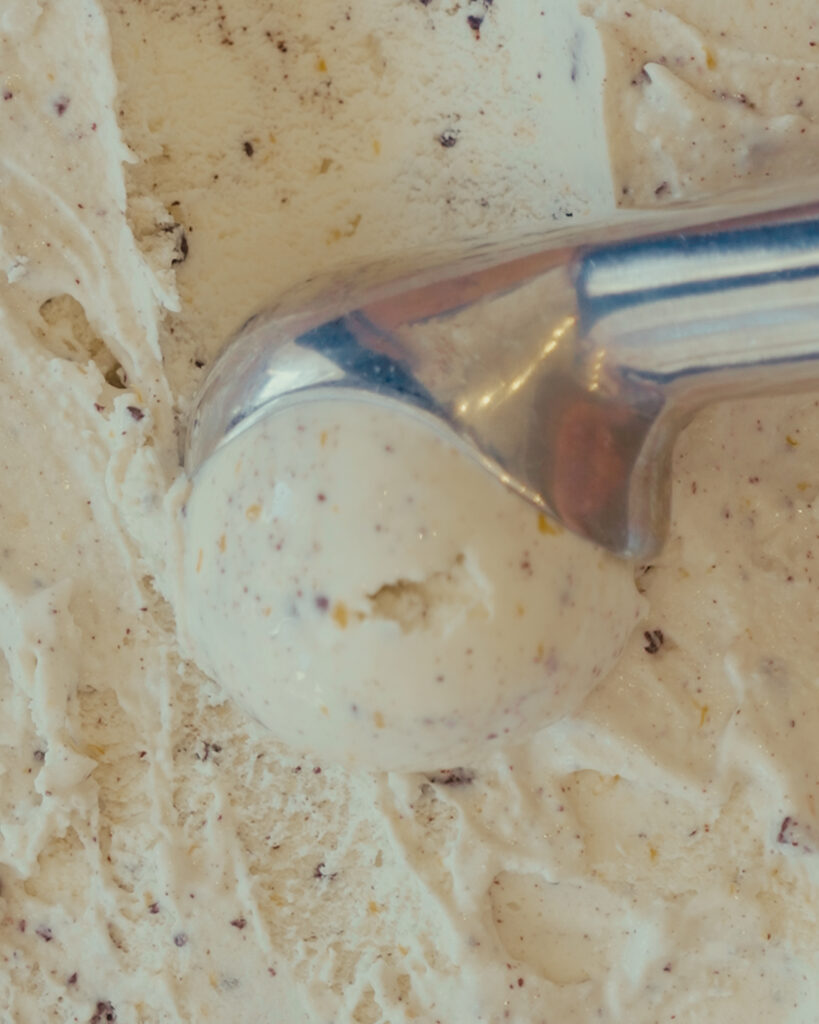 Orange-Chocolate Chip