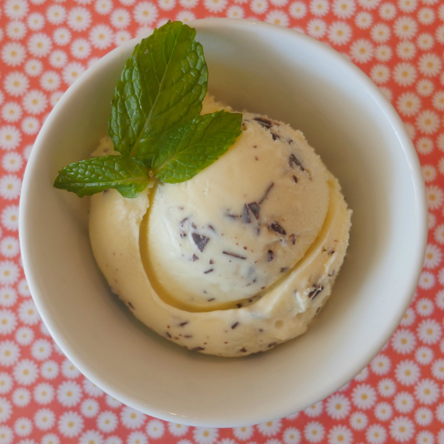 Fresh Mint Chocolate Chip